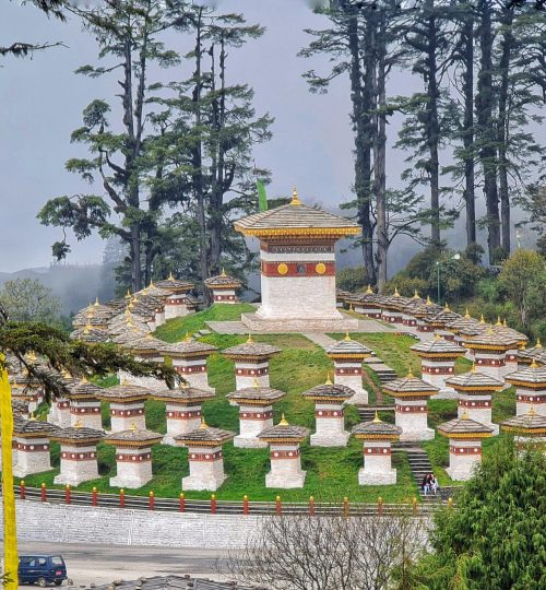 pexels-phuntsho-wangdi-134453878-10202458