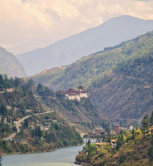 pexels-phuntsho-wangdi-134453878-16524362